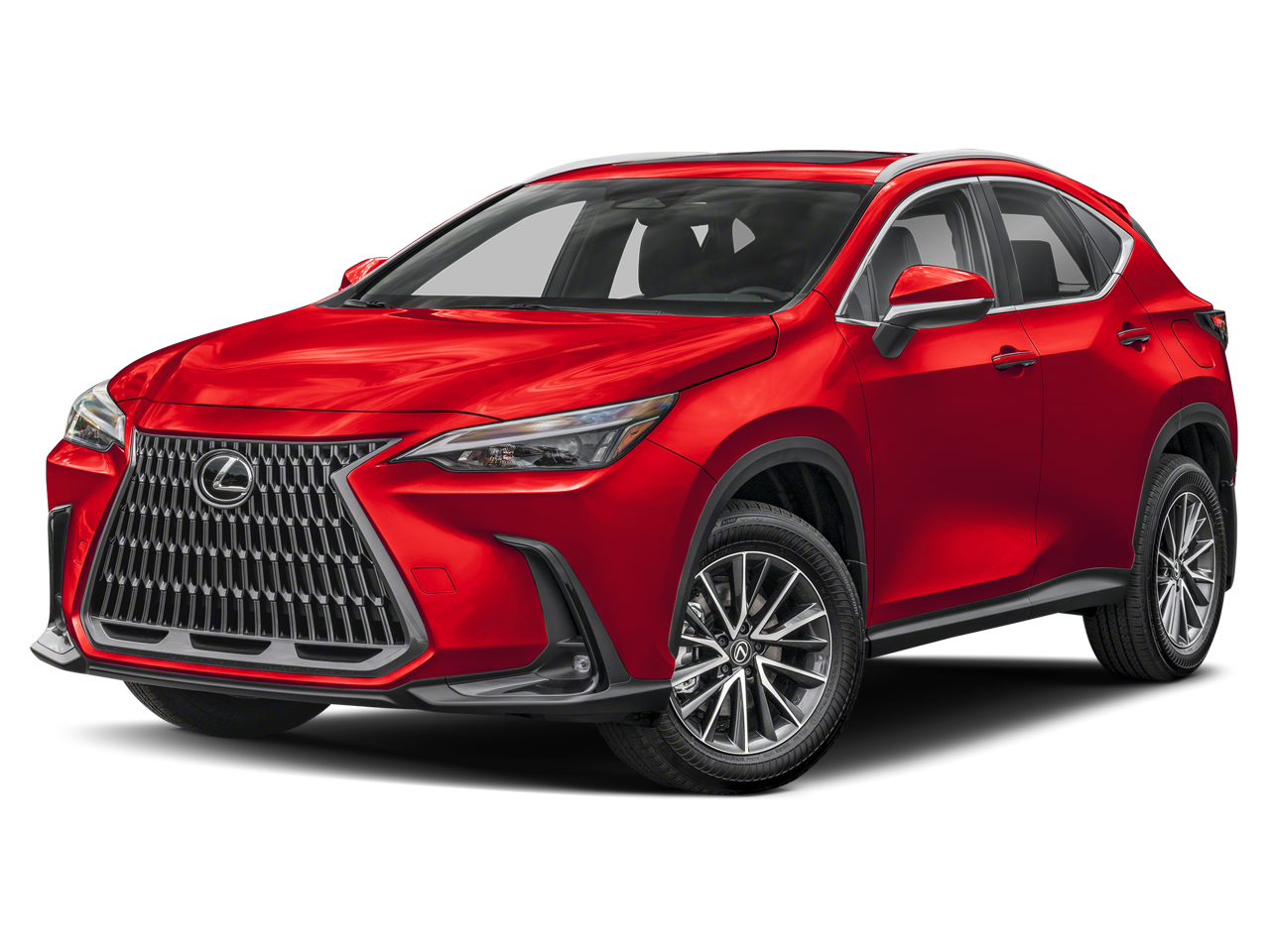 2024 Lexus NX 350h 350h Premium AWD's photo