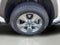 2024 Toyota RAV4 Hybrid Hybrid LE