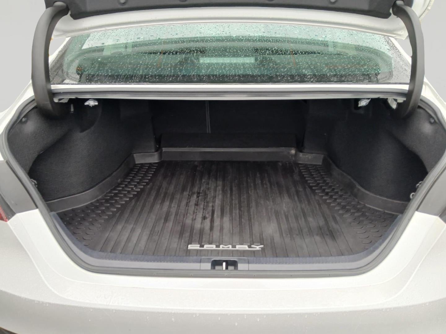 2020 Toyota CAMRY XLE