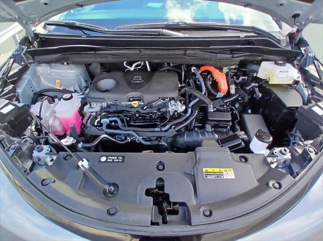 2025 Toyota SIENNA XLE AWD Woodland Edition