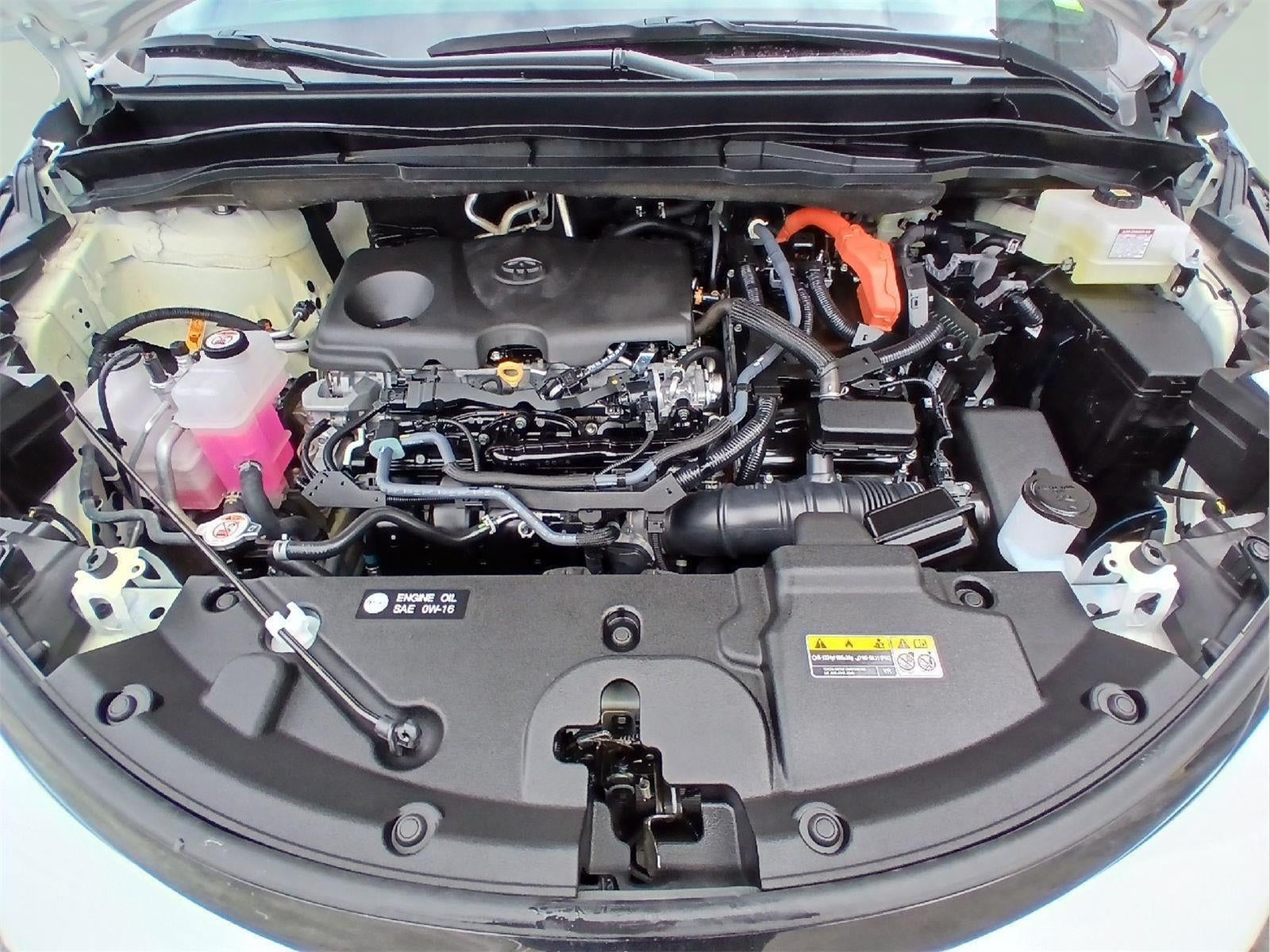 2025 Toyota SIENNA MINIVAN