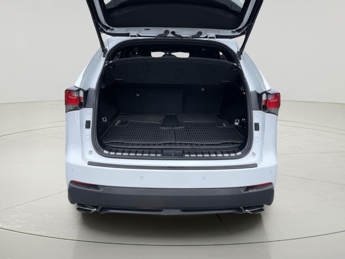 2016 Lexus NX 200t F Sport