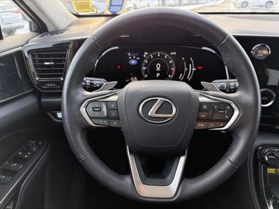 2025 Lexus NX 250 250