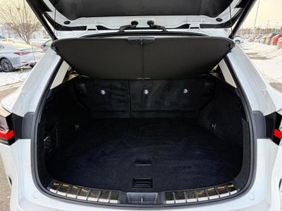 2025 Lexus NX 250 250