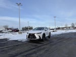 2025 Lexus NX 250 250