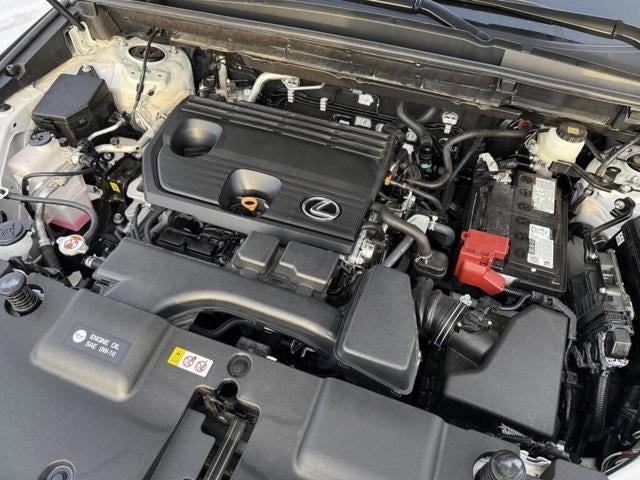 2025 Lexus NX 250 250