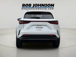 2024 Lexus NX 350 NX 350
