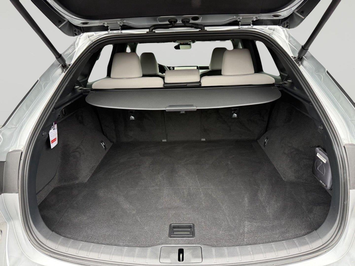 2025 Lexus RX 350 RX 350 Premium