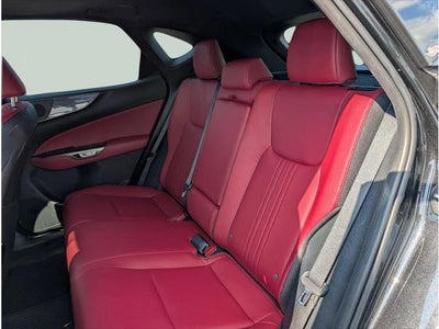 2023 Lexus NX 350 PREMIUM
