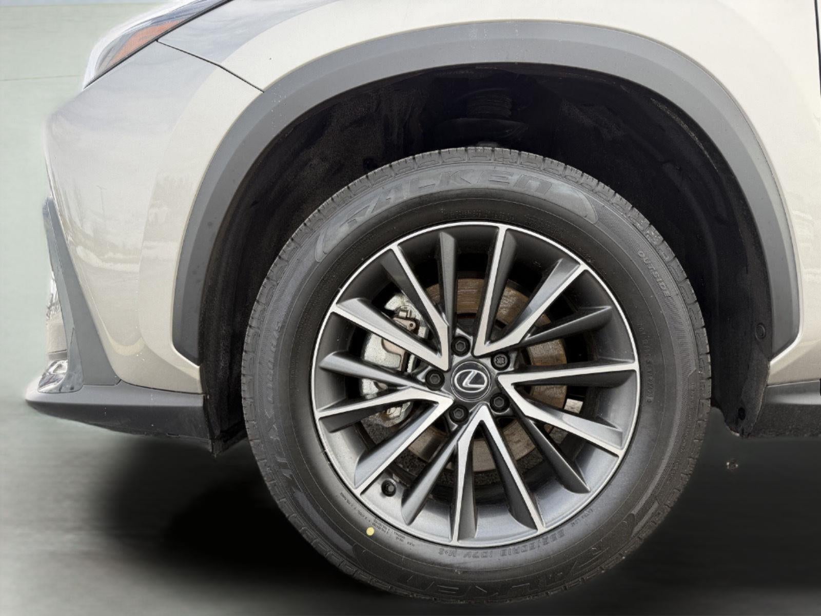 2025 Lexus NX 350 Premium