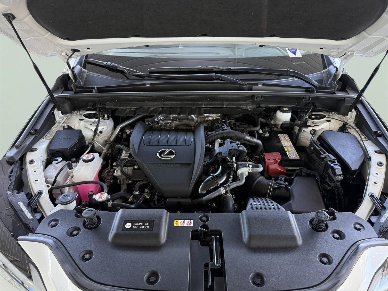 2024 Lexus NX 350 NX 350