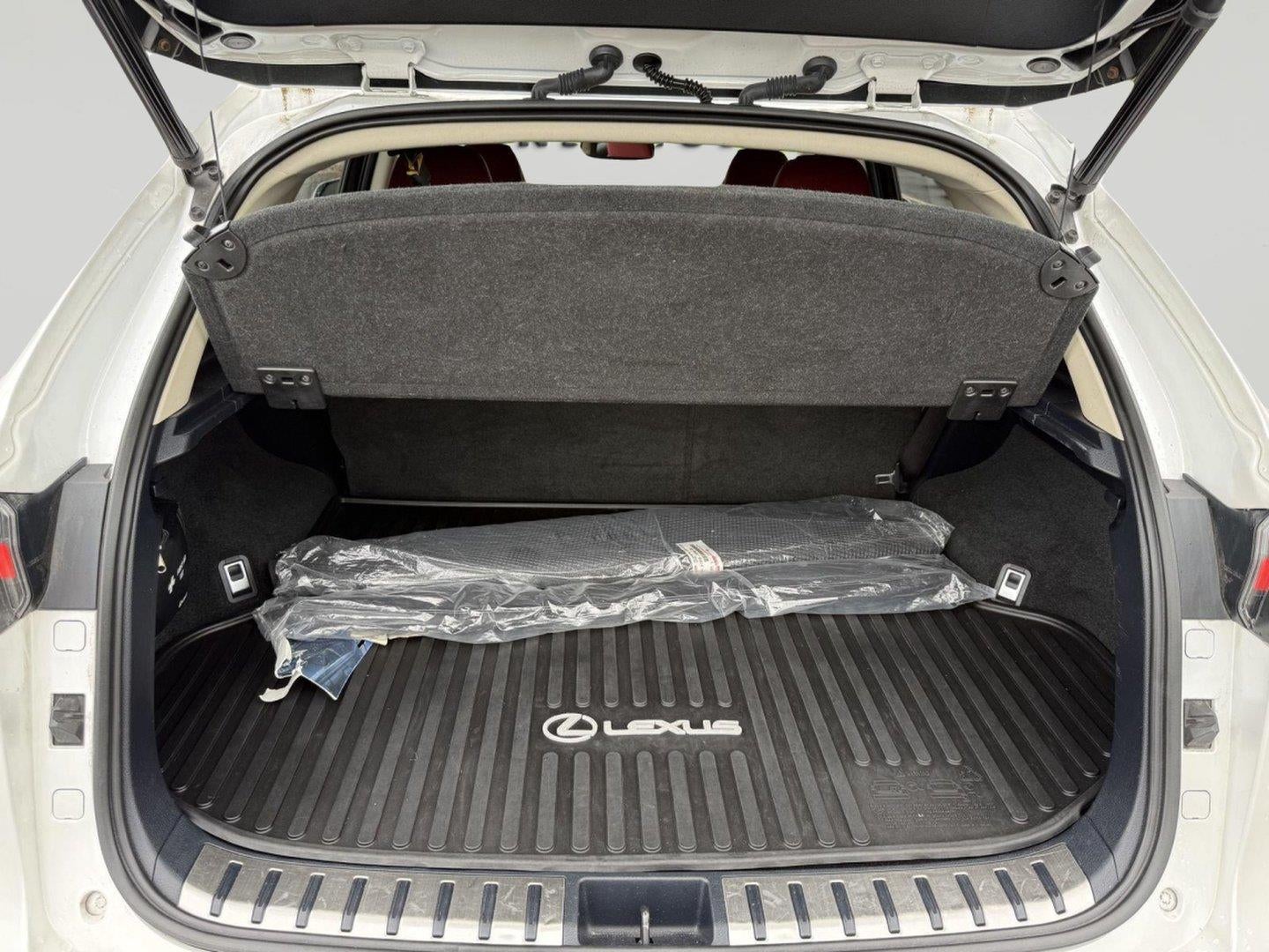 2020 Lexus NX 300 NX 300 AWD